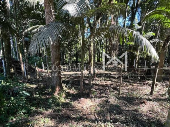 Ótimo terreno plano para venda em Paraty