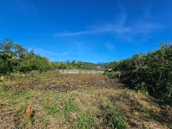 Excelente terreno a venda bairro Jabaquara em Paraty