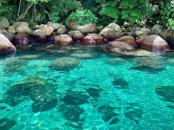 ilha-dos-cocos-06-1-730x750-2